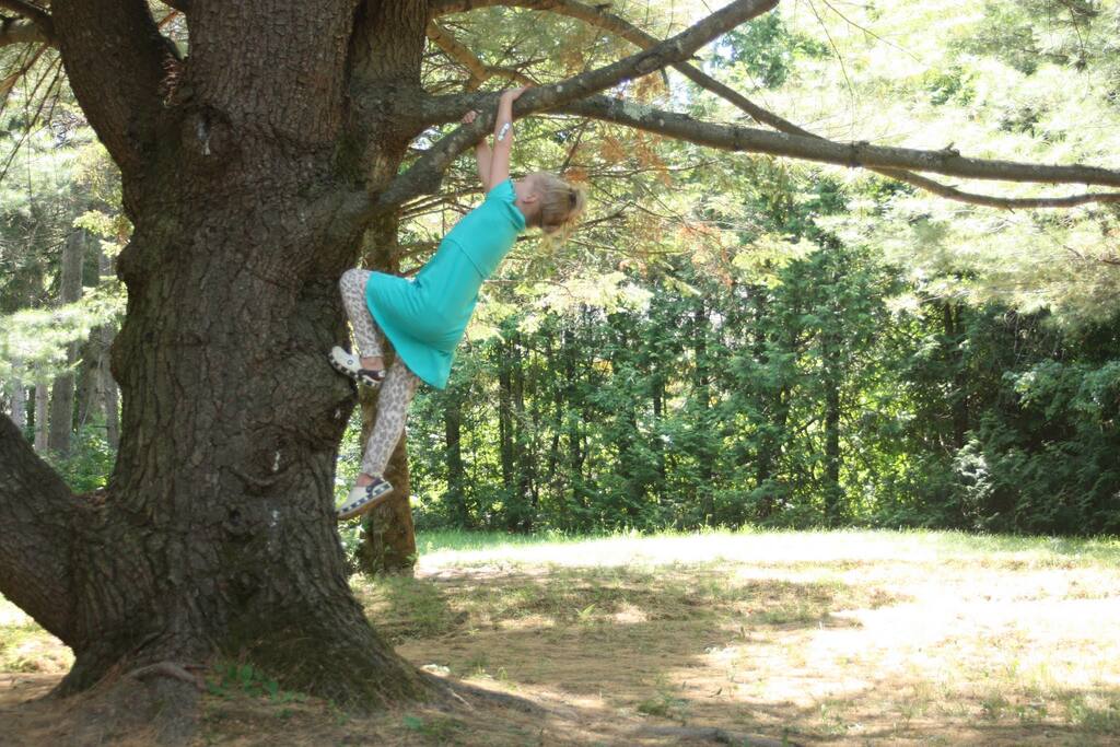 Our trees are kid-approved.