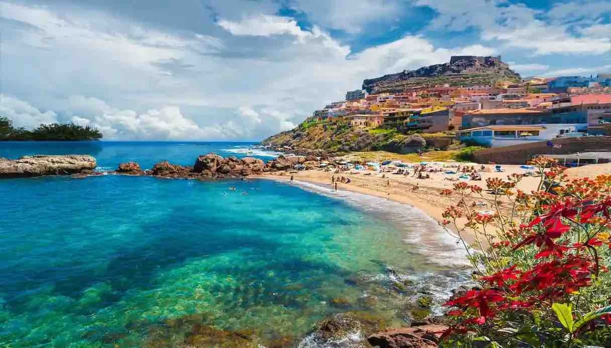 A serene beach scene is captured, showcasing golden sands and clear, turquoise waters. Lush green hillsides line the background, accented by charming buildings. Vibrant flowers grow at the forefront, adding a splash of color to the coastal landscape.