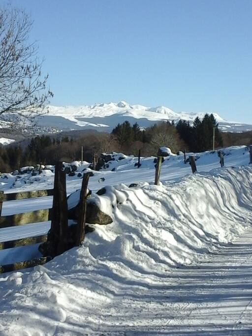 Le Domaine boisé de 10 hectares qui abrite le chalet et le panorama grand large sur le massif du Sancy. A 20 min. des 1ères pistes de ski ...