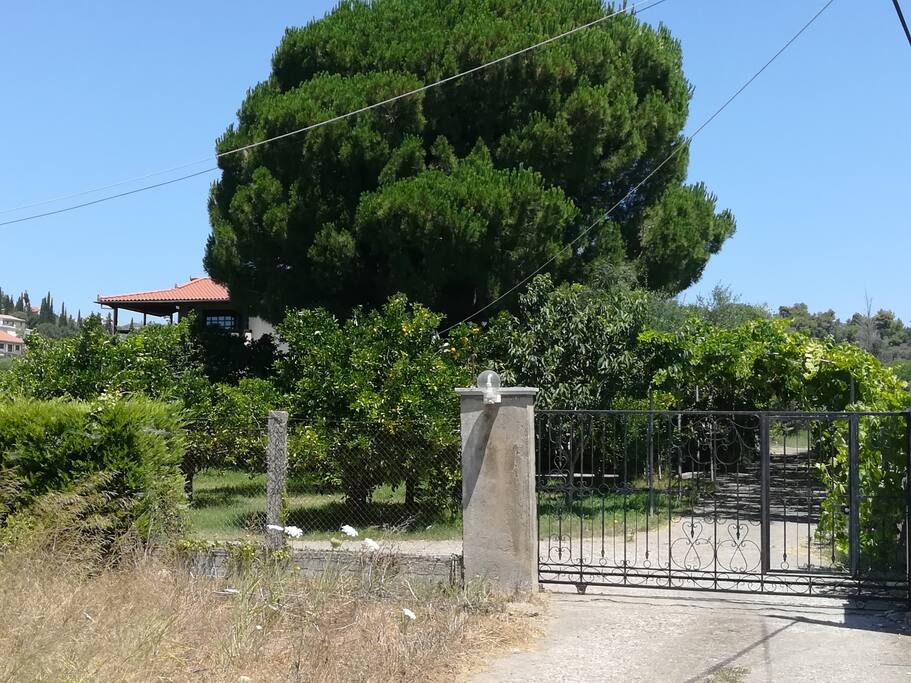 Main entrance