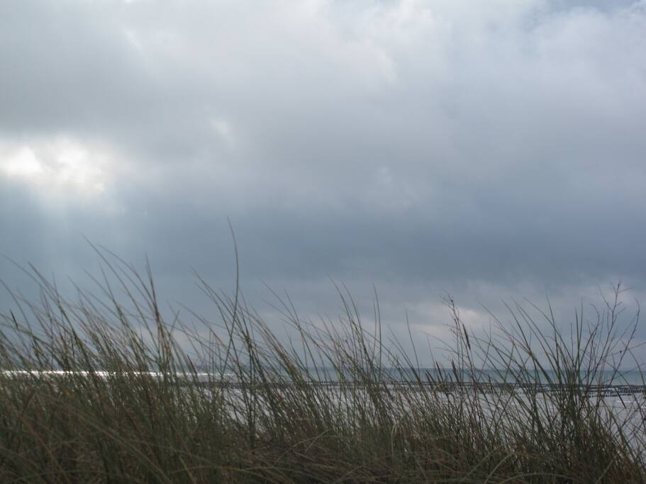Vue sur marais