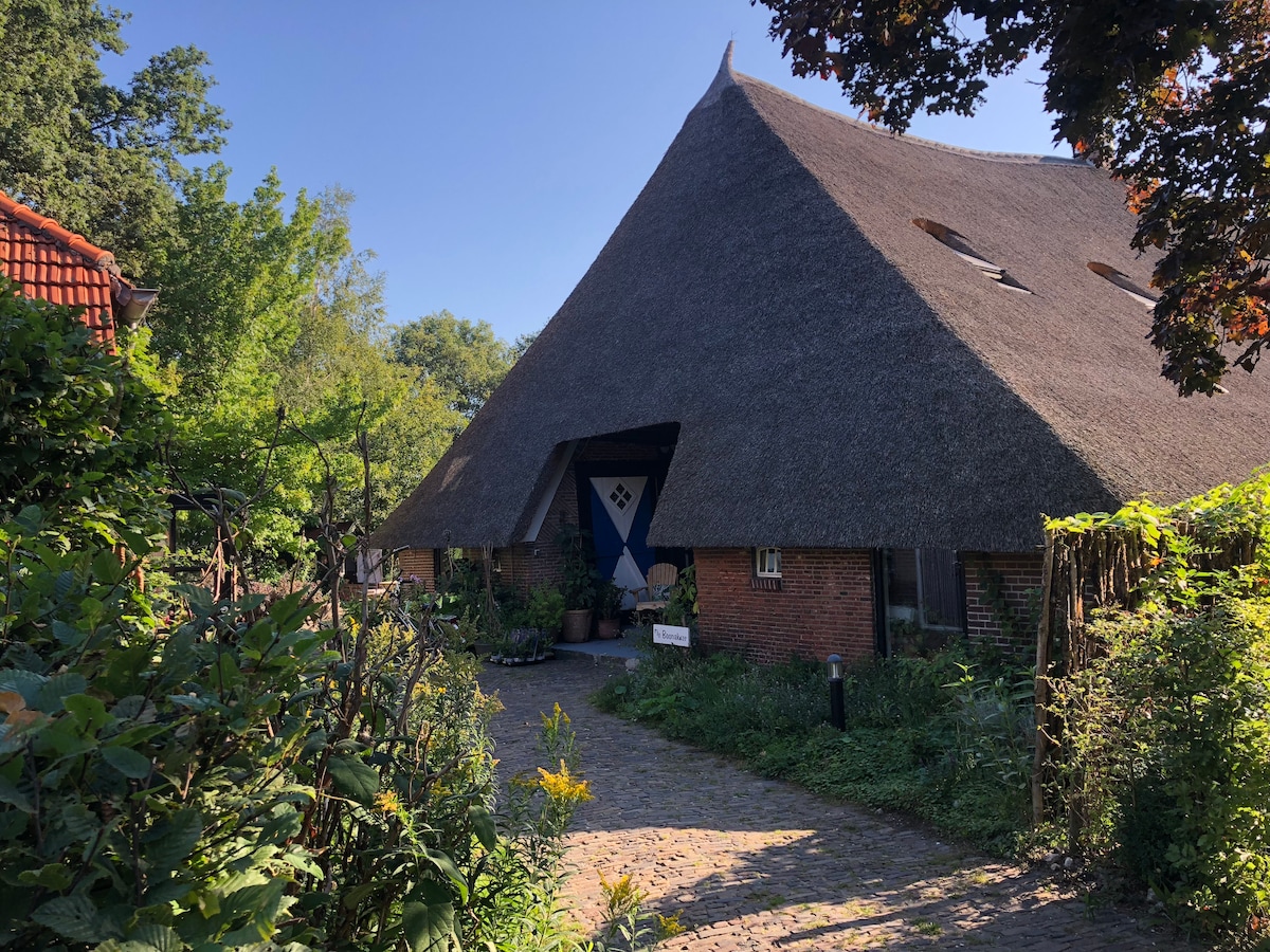 The charming thatched-roof farmhouse is surrounded by lush greenery and colorful plants, inviting visitors to explore. A cobblestone path leads to the entrance, which features distinctive architectural elements. Sunlight filters through the trees, enhancing the natural beauty of the setting.