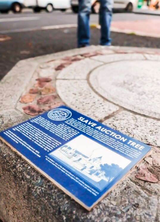 Show full-screen, host-provided image