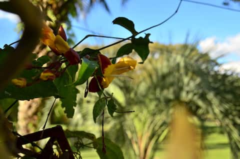 A little peace at Sítio Fiori