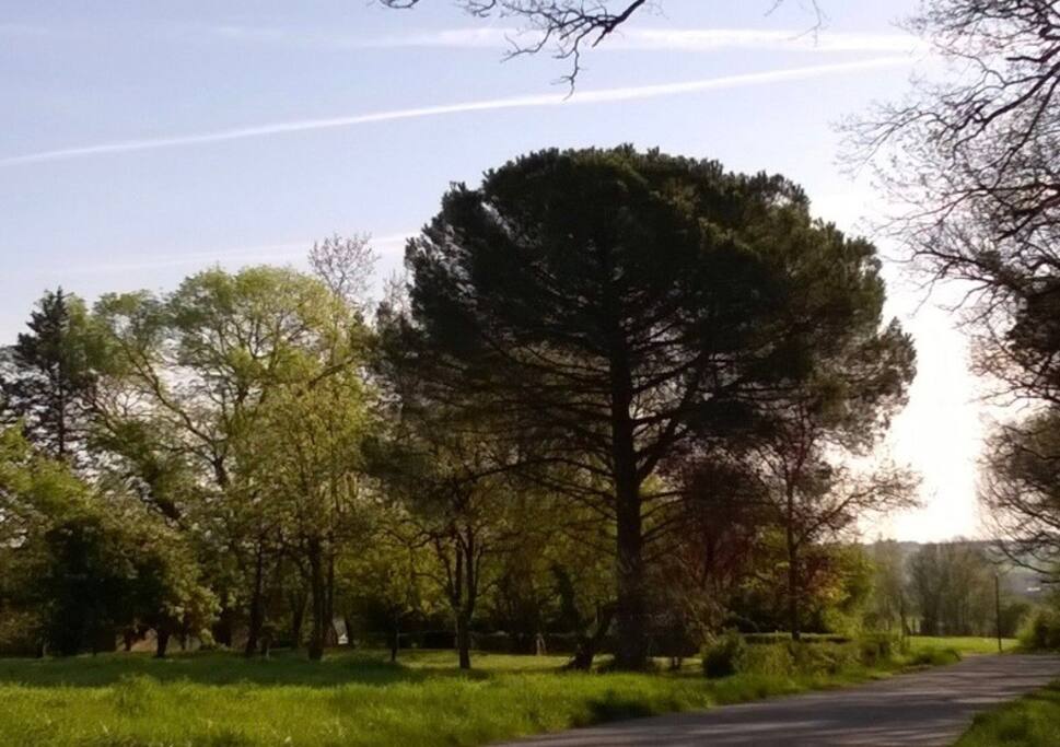 Entrée de la propriété