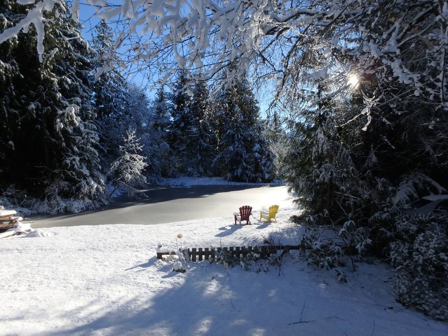 Winter Wonderland