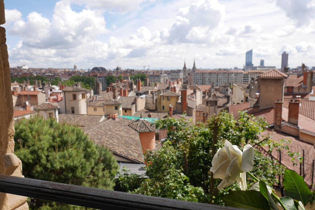 La vue depuis le salon