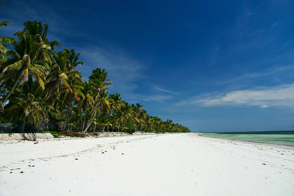 jambiani beach