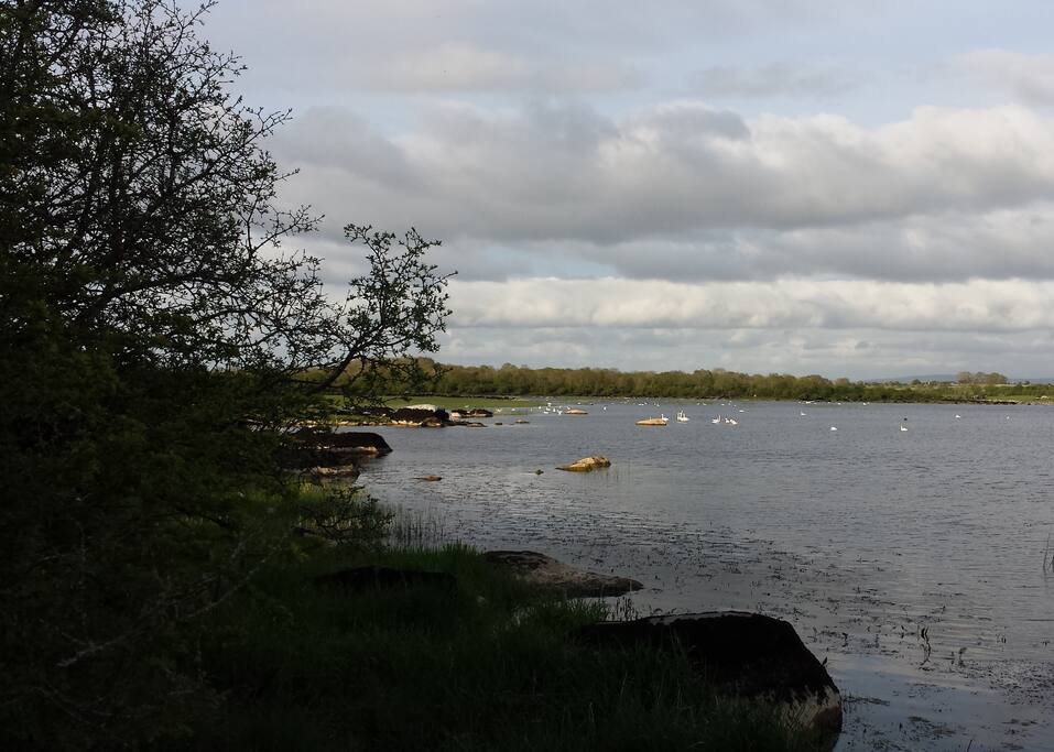 Nearby Lake
