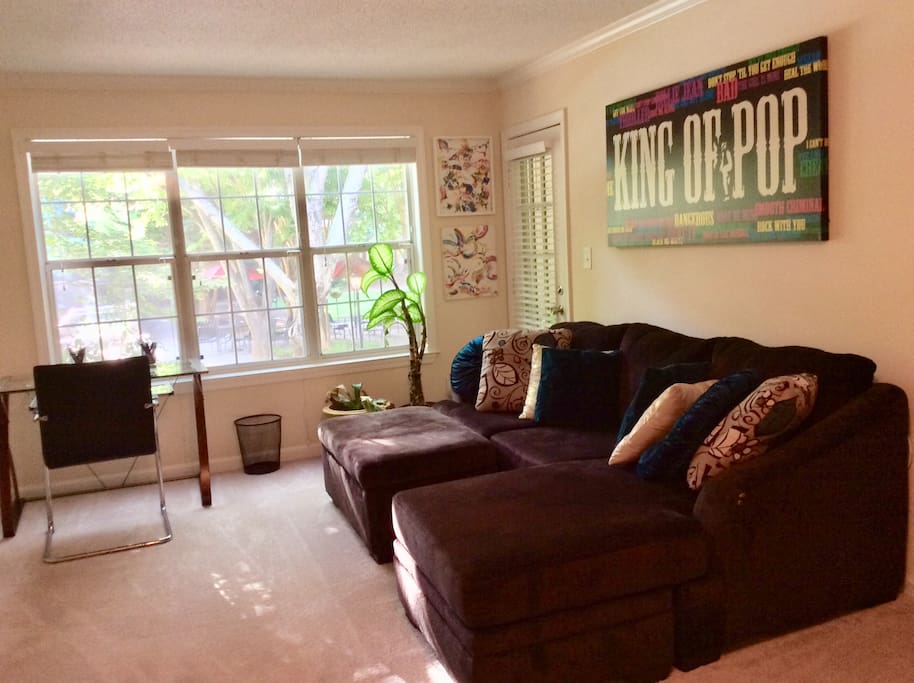 Living Room/Workspace