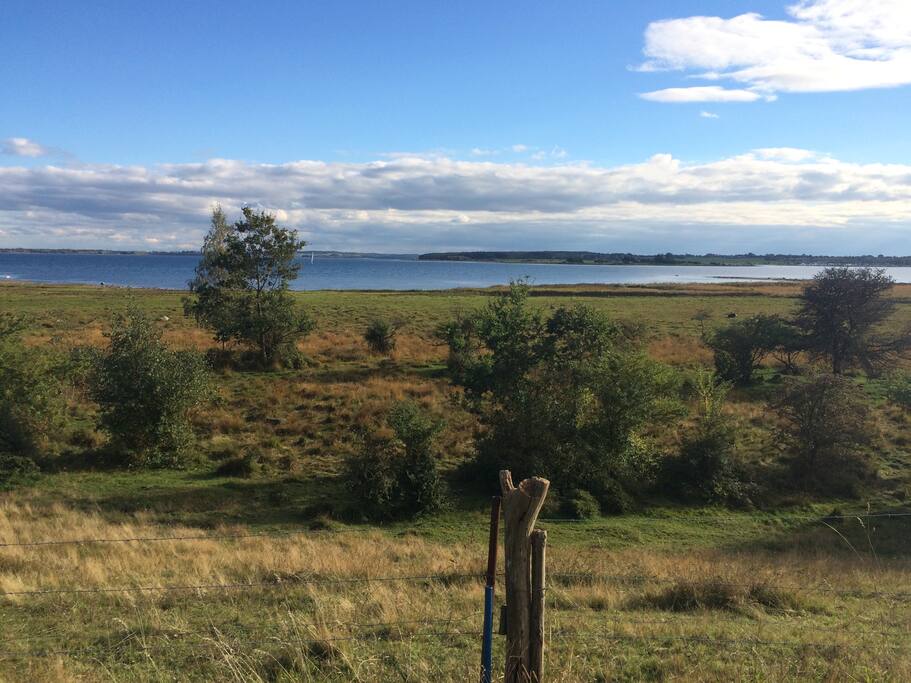 View from our road - Holbæk fjord.