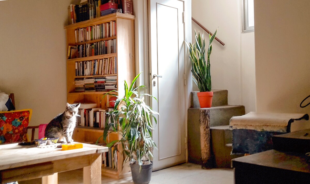 Room for rent in Núñez