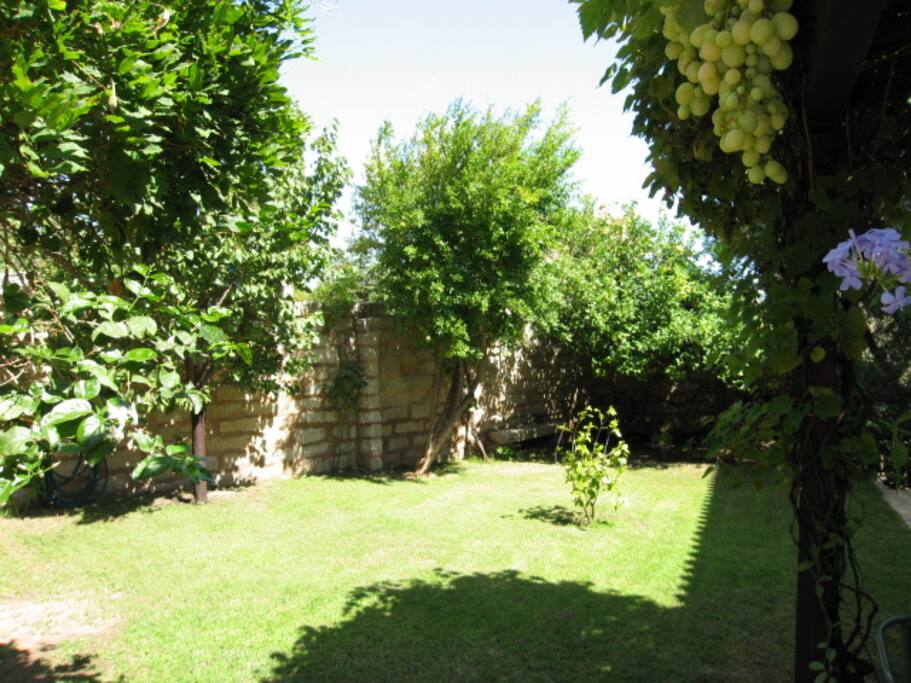 the garden