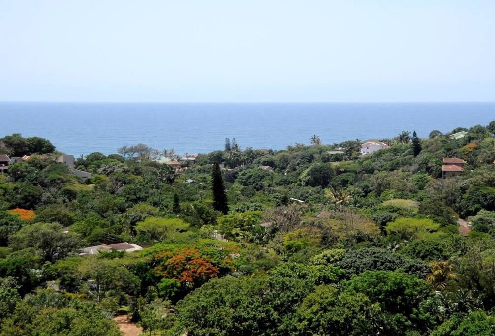 Panoramic view of the Indian ocean and lush valley below...