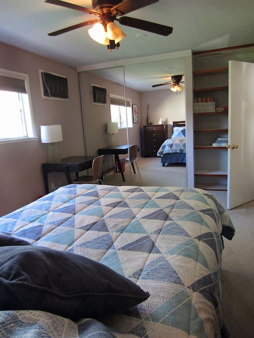 Room has a large closet and bookshelves.