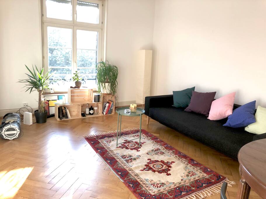 Living Room / Bedroom 3