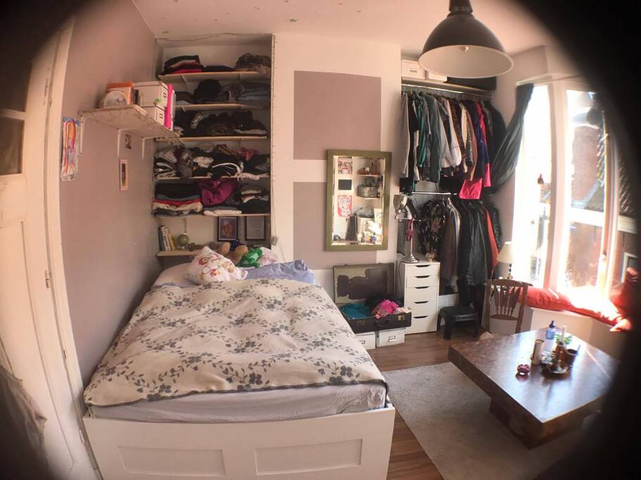 Room, sunny all day