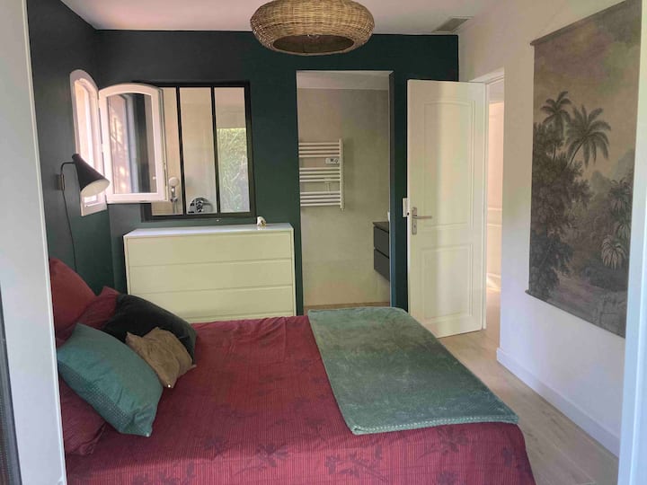 Habitación 1