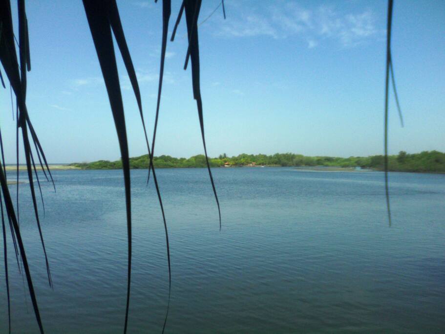 Estero Los Brasiles a 2 km