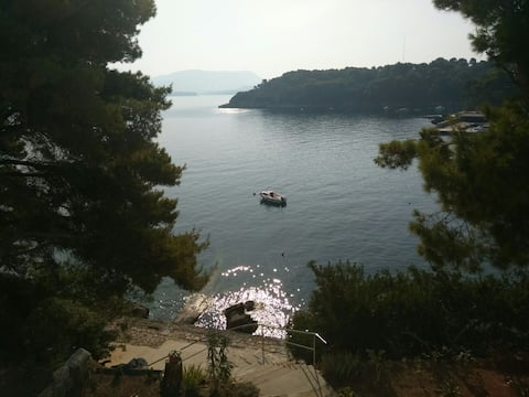 Popular Airbnb listing: Apartment Iva in Orašac