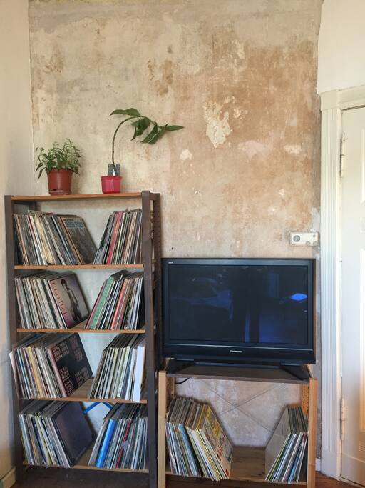 Living / Bed Room