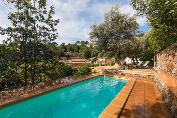 Amazing 5-bedroom villa w/pool in Port de Soller gallery image 4
