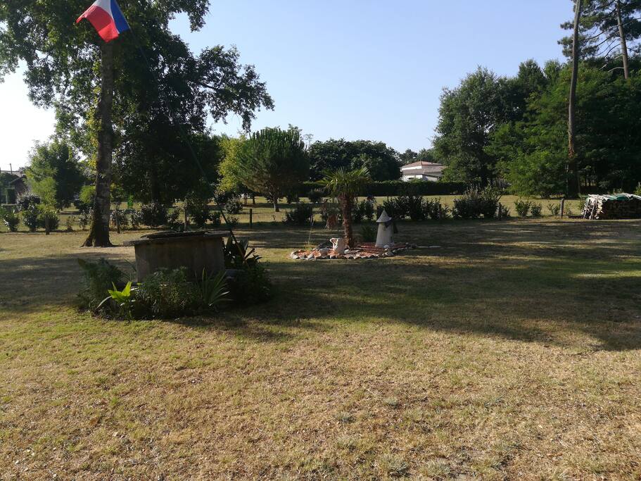 Terrain arboré