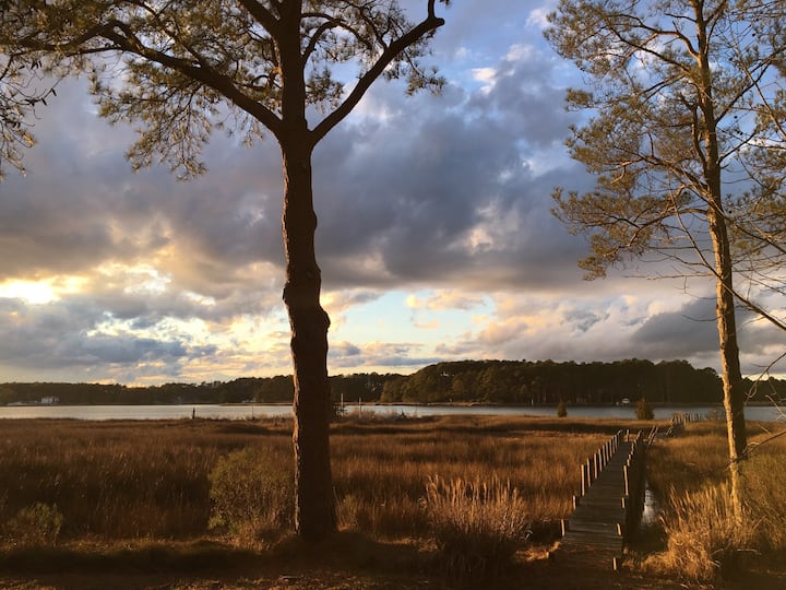 Oyster Creek Cottage Cottages for Rent in White Stone, Virginia