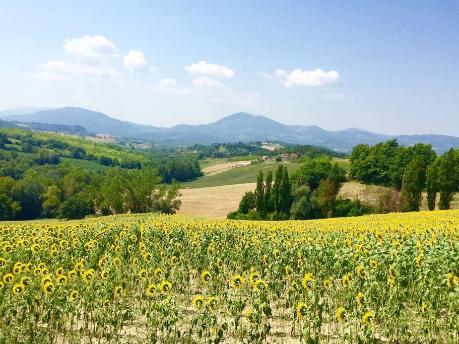 One of many spectacular views from Casale Napoletano with Monte Acuto in the distance