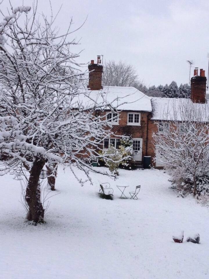 Pretty cottage on edge of forest. Cottages for Rent in Berkhamsted
