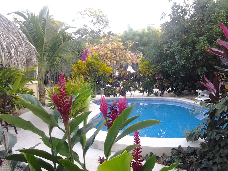 View towards the garden and pool