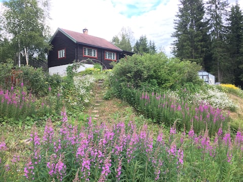 Timber cabin with great views - an hour from Oslo.