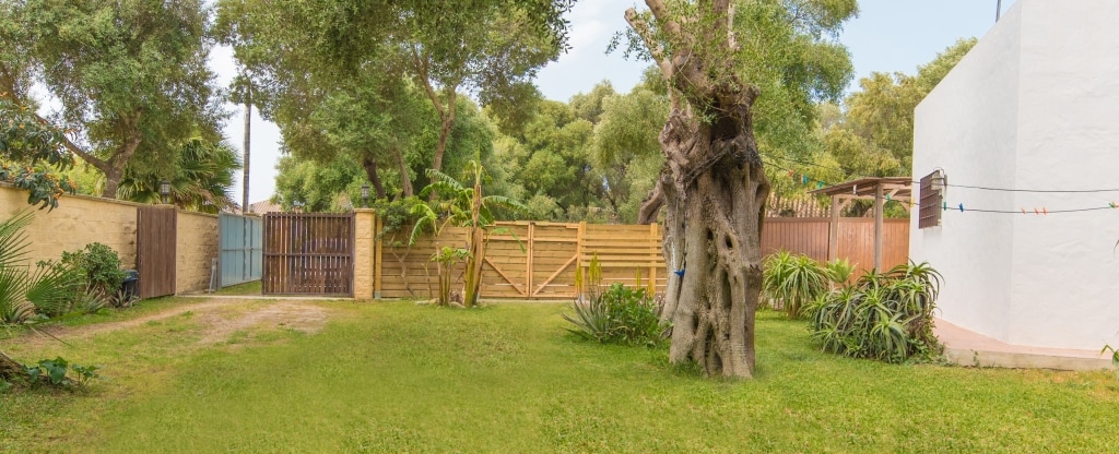 A spacious garden area is surrounded by lush greenery and mature trees. A wooden gate and fencing provide privacy. Clusters of plants are arranged throughout the grass, creating a relaxed outdoor environment. The scene emphasizes tranquility and the natural surroundings.