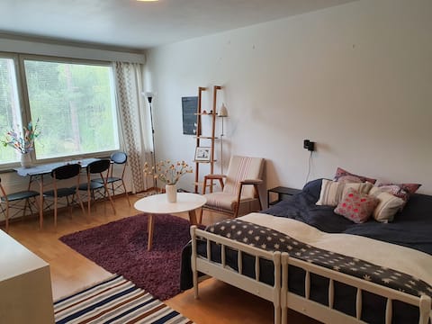 Cozy apartment in Teijo
