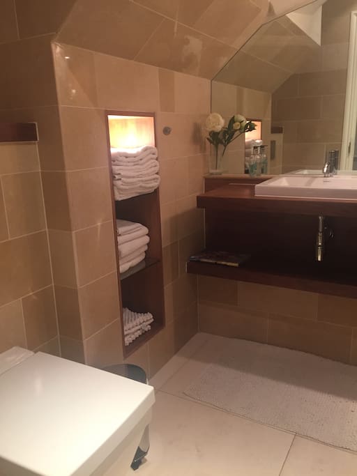 Small bathroom downstairs(4th floor)