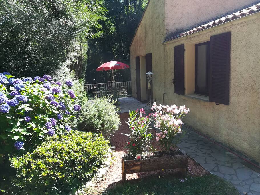 extérieur coté studio
