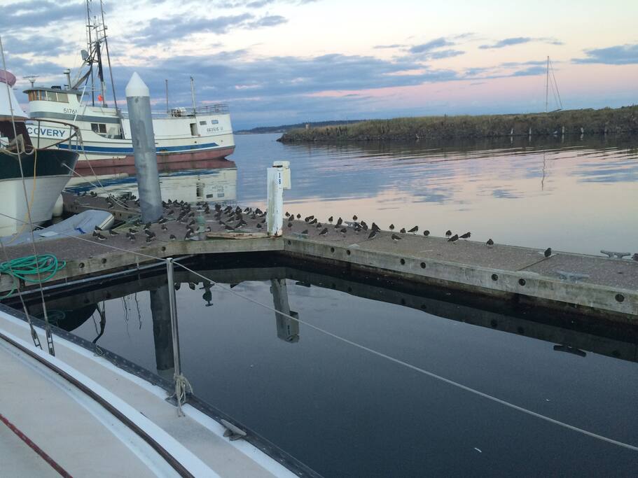airbnb boats washington dc live aboard the wasp in downtown ballard boats for rent airbnb boats washington dc live aboard the wasp in downtown ballard boats for rent