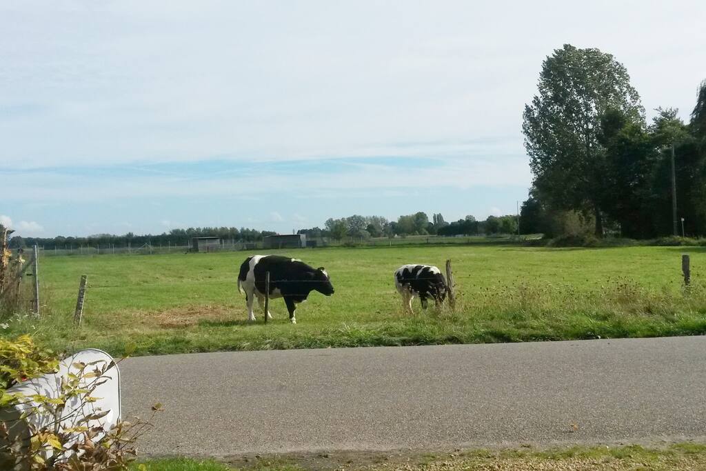 uitzicht vanaf boerderij