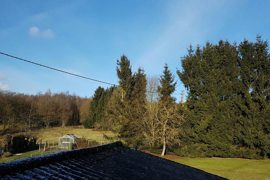 Blick aus dem Fenster ins Grüne