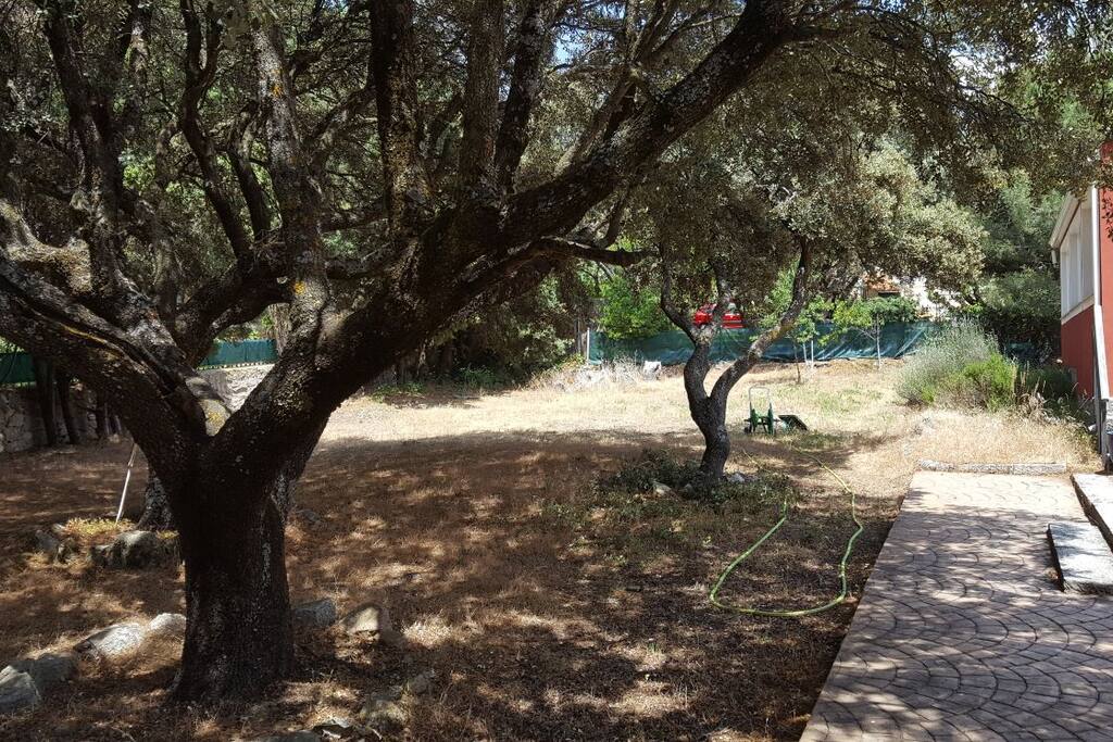 Jardin