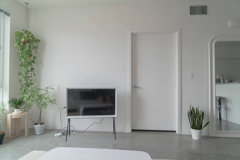 Serif TV with netflix available
