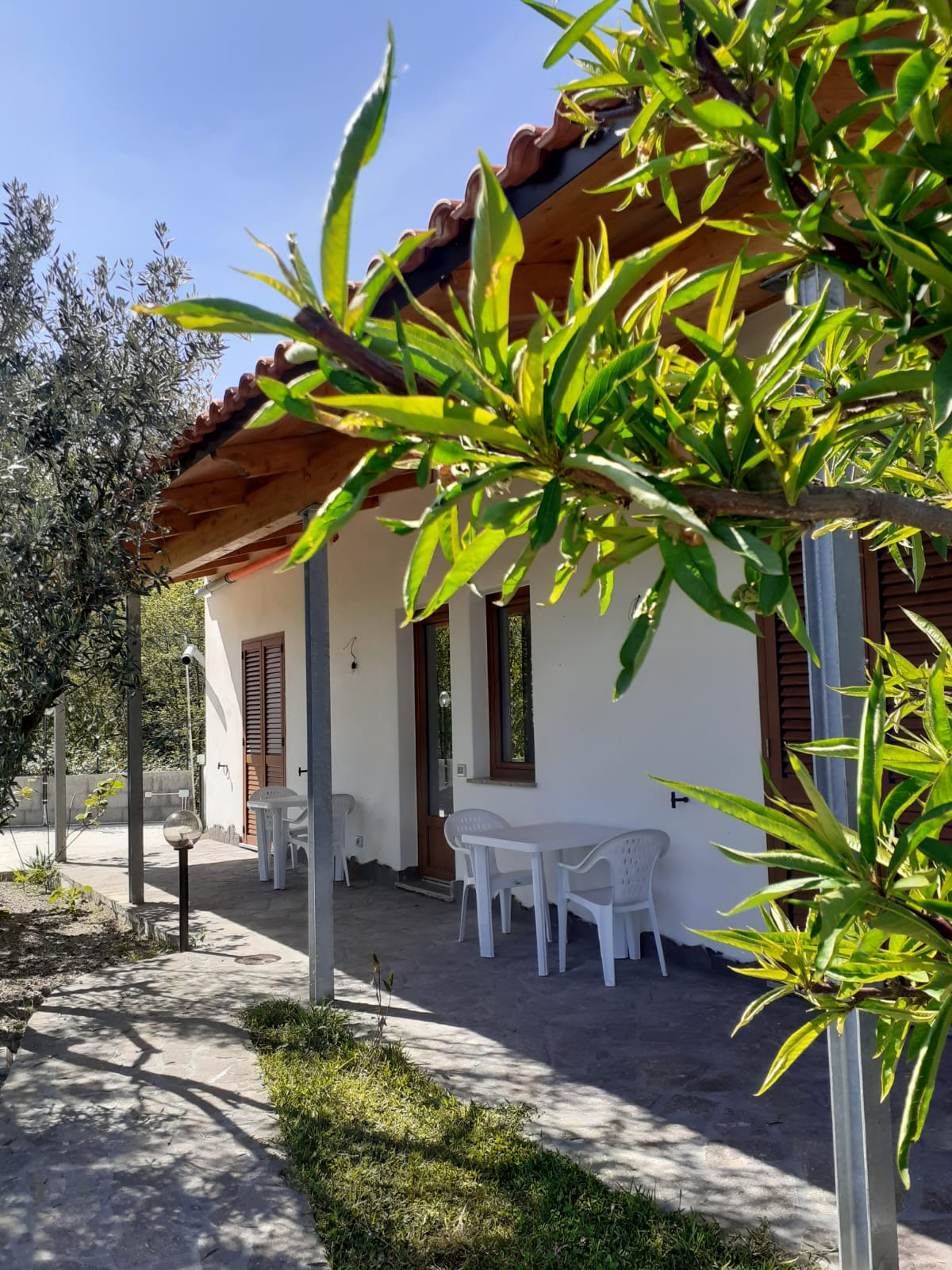 A modern building is framed by green foliage and olive trees, featuring a shaded porch with two white chairs and a small table. The light exterior walls complement the terracotta roof, while a pathway leads to the entrance, enhancing the outdoor experience.