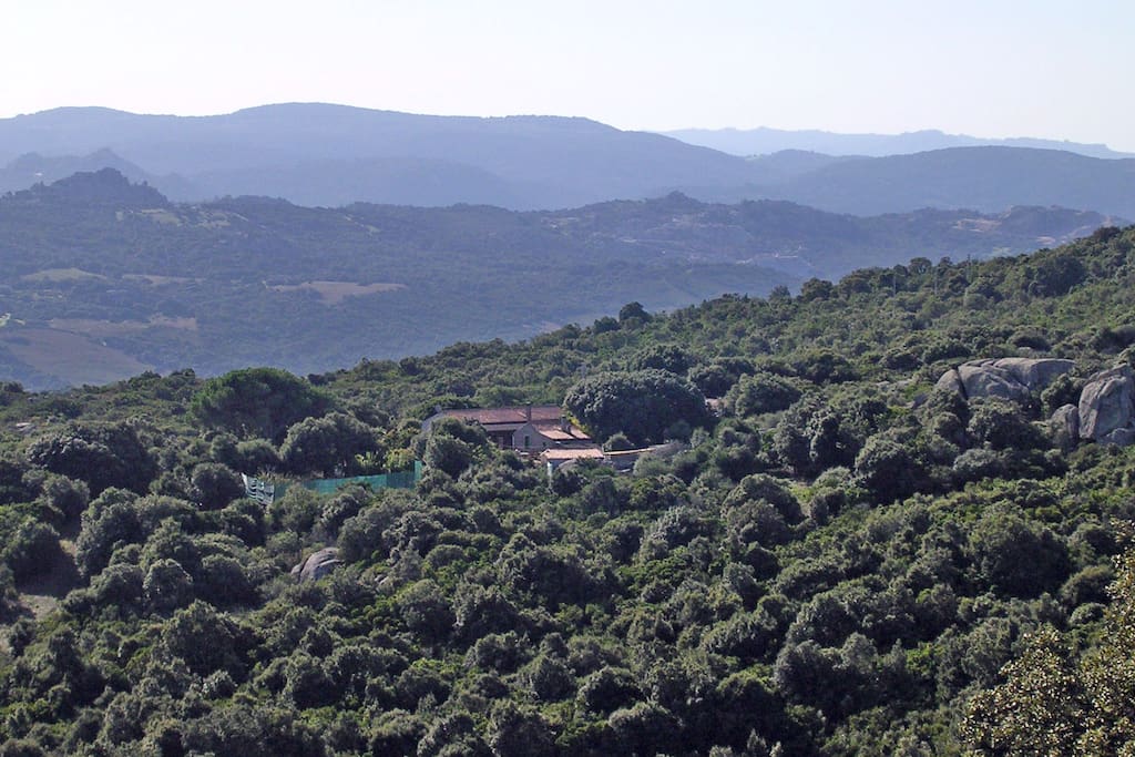 la casa fra i boschi
