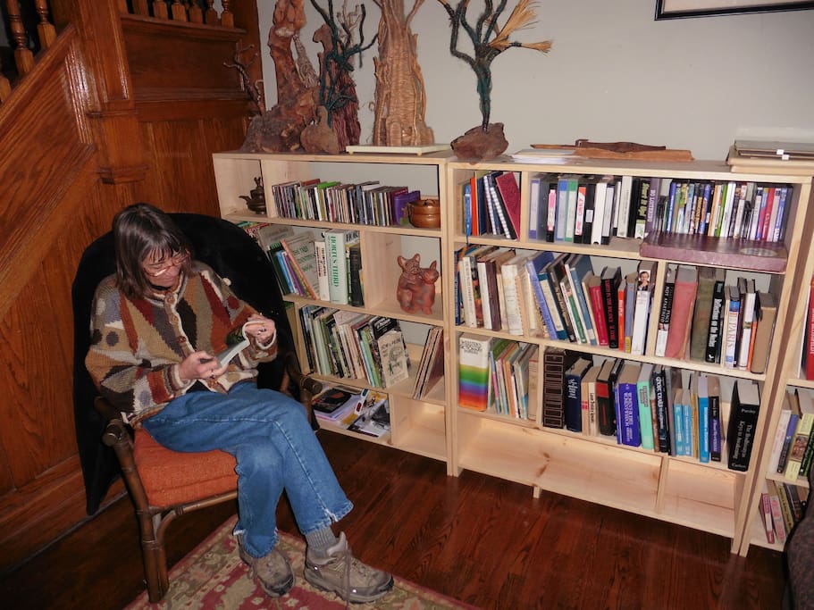 Sitting room library