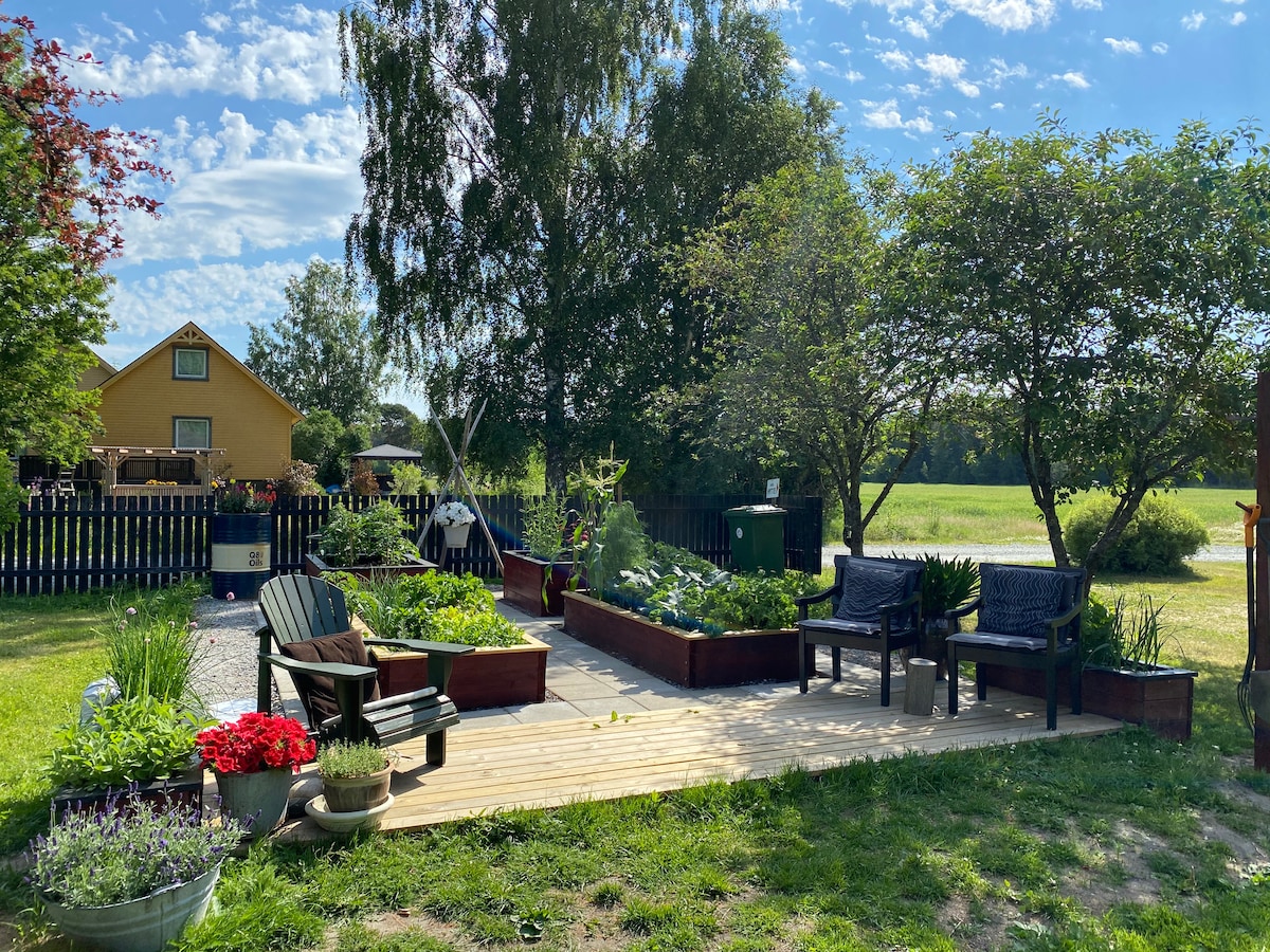A spacious outdoor area is shown, featuring wooden decking and raised garden beds filled with lush greenery. Two chairs are positioned for seating, while surrounding trees provide shade. A well-maintained lawn stretches out in the background, with a yellow house visible beyond the garden.