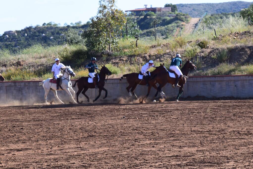la cancha de polo
Polo field