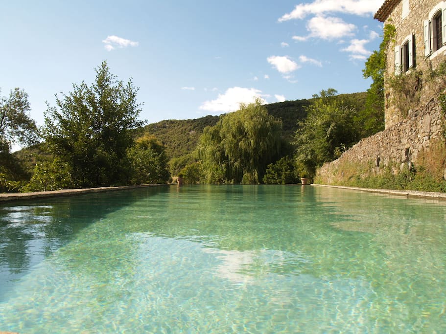 le bassin-piscine (36m/10m)