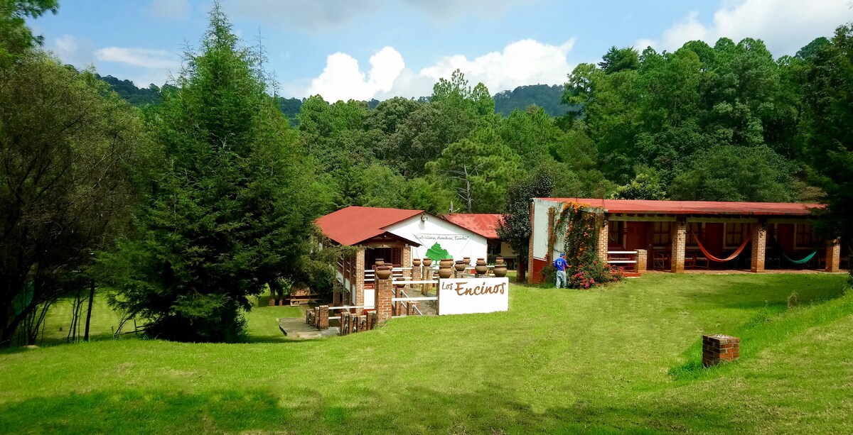A grassy area leads to the Los Encinos building, framed by tall trees. The structure features a red roof and wooden accents, with outdoor seating visible on the patio. Signage displaying the name of the venue is prominently placed, inviting guests to explore the space.