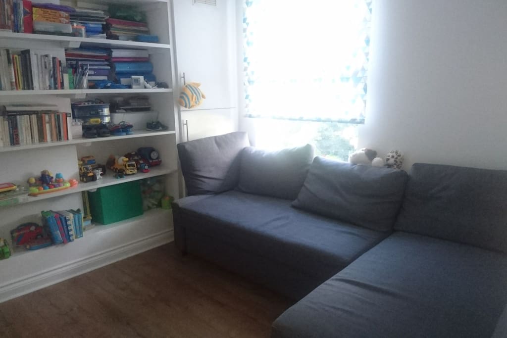 Huge sofa bed and library