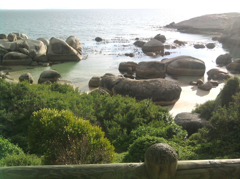 Boulders Beach